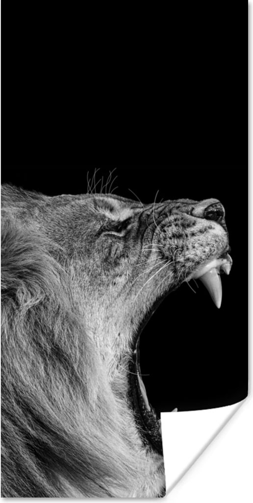 MuchoWow Poster Tiere - Löwe - Schwarz - Weiß - Porträt 75x150 cm - Dekoration für die Wände