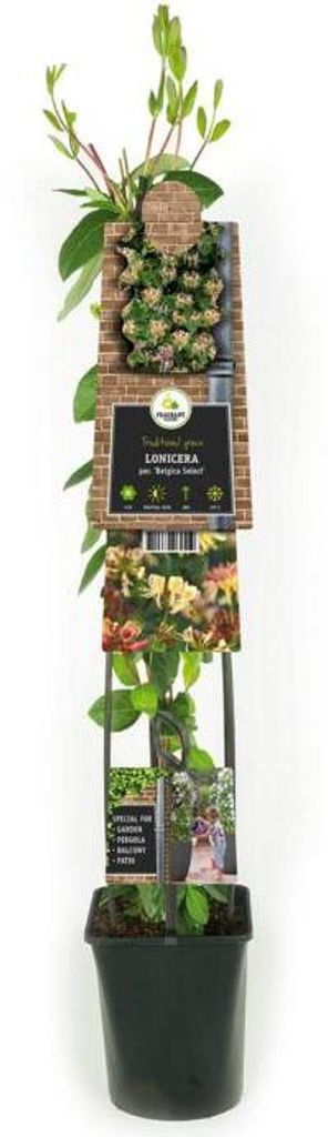 all planted All Planted products | 100% natural, 100% healthy, 0% animal suffering main image 1