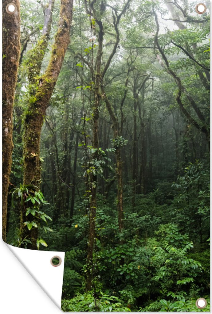 MuchoWow 80x120 cm Outdoor-Poster Gartendeko Sichtschutz Garten Poster für den Garten Monteverde - Laub - Baum - Nebel