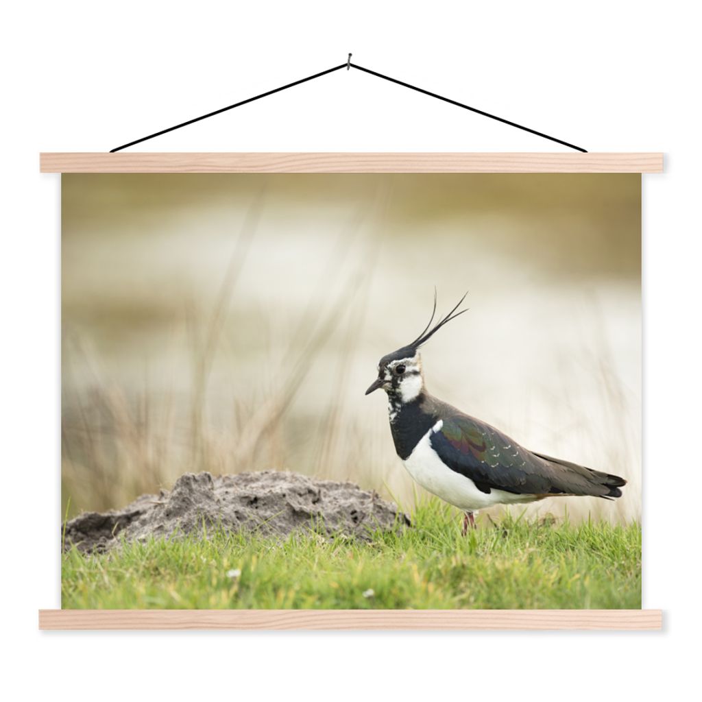 MuchoWow Textilposter Vogel - Gras - Tiere - Natur - Kiebitz 60x45 cm mit holzfarbenen Rahmen - Bild