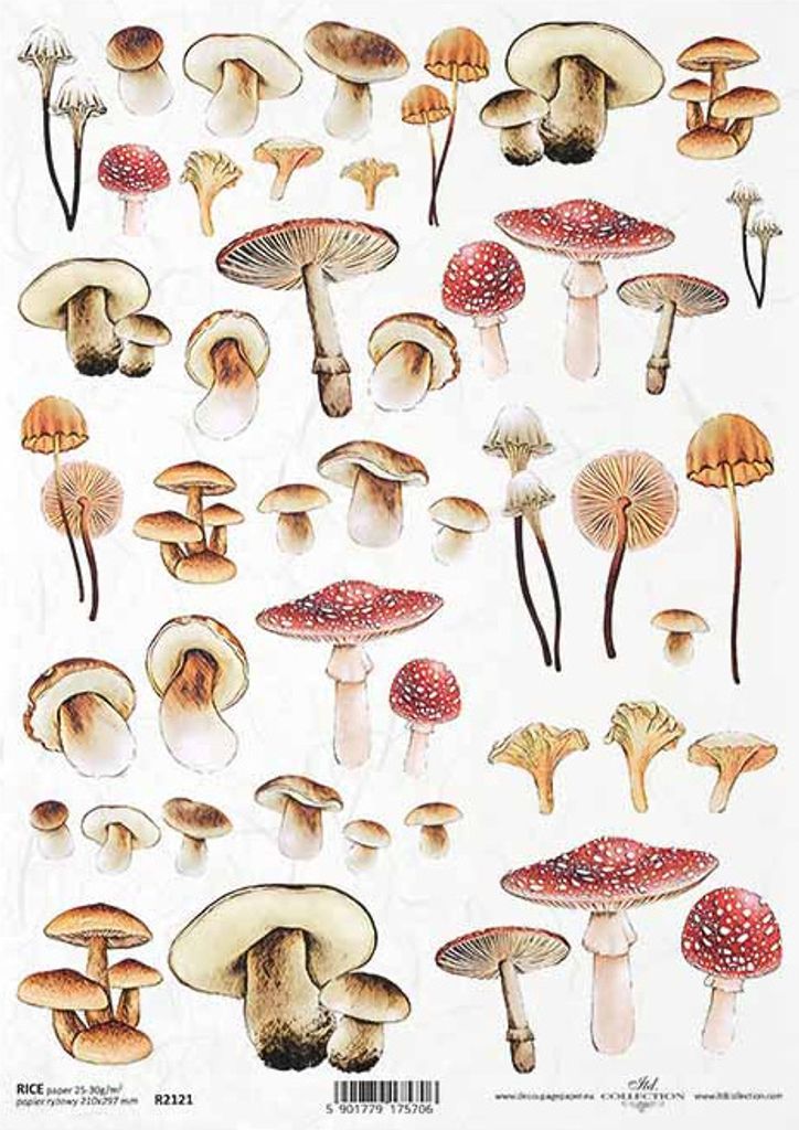 ITD Reispapier Decoupage Bastelpapier Softpapier Serviettentechnik, Pilze R2121