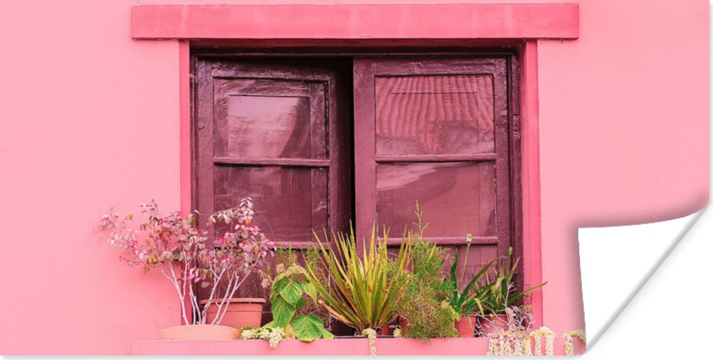 MuchoWow Poster Fenster - Pflanzen - Rosa - Pflanzgefäß 120x60 cm - Bild