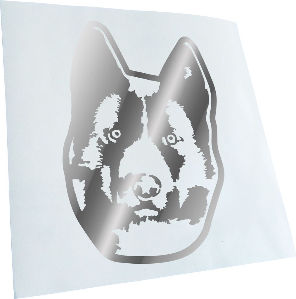 Kiwistar - Autoaufkleber - karelian bear dog Hund - Chrom - 50x36cm - Aufkleber für Auto, Laptop, Fahrrad, LKW, Motorrad mehrfarbig JDM Decal Racing