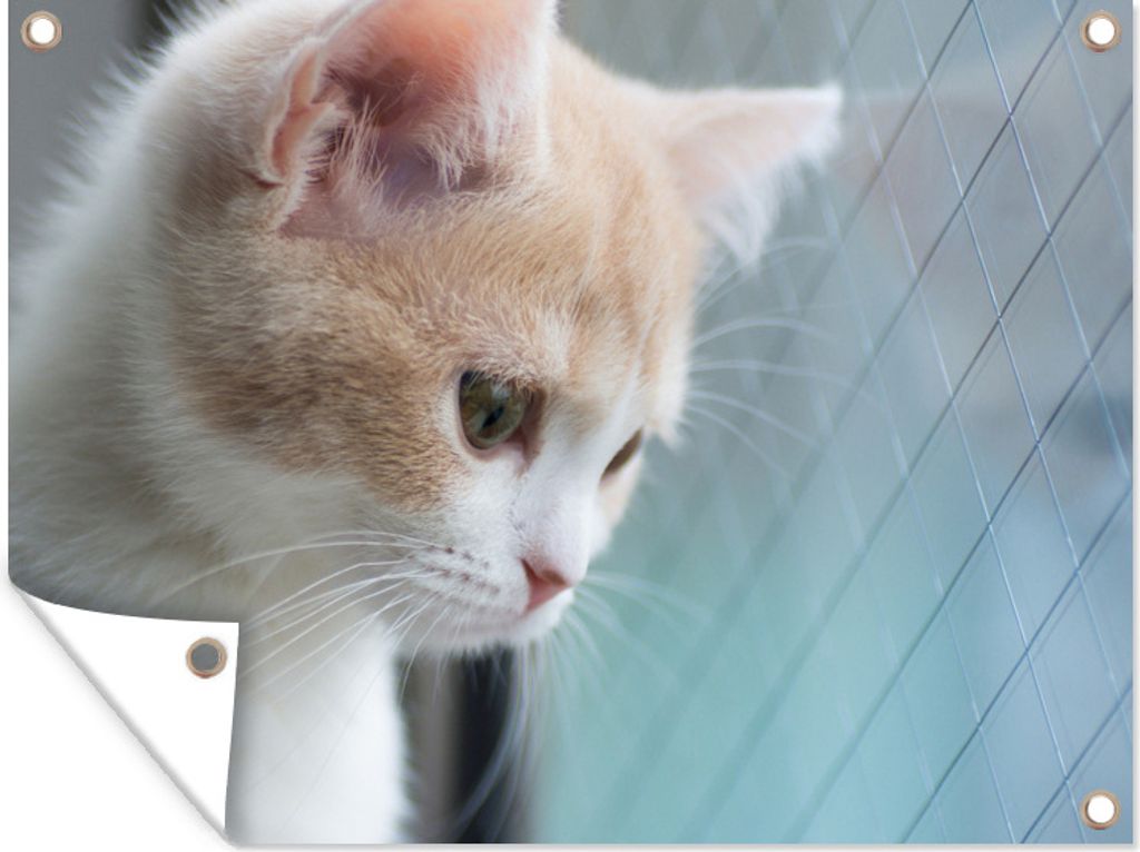 MuchoWow 40x30 cm Outdoor-Poster Gartendeko Sichtschutz Garten Poster für den Garten Kitting am Fenster