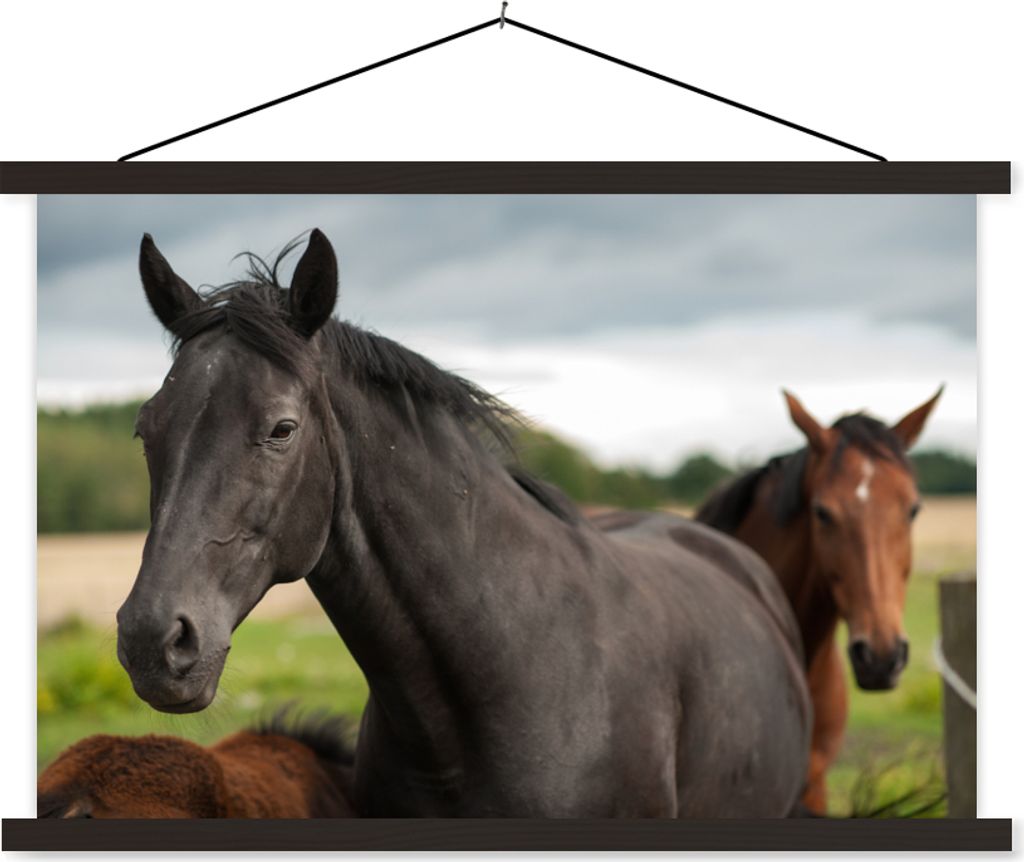 MuchoWow Textilposter Pferde - Wiese - Schweden 90x60 cm mit schwarzem Rahmen - Aufhängungssatz