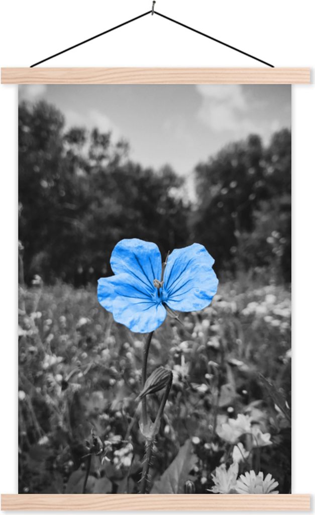 MuchoWow Textilposter Blumen - Schwarz - Weiß - Blau 120x180 cm mit holzfarbenen Rahmen - Textil-Plakat