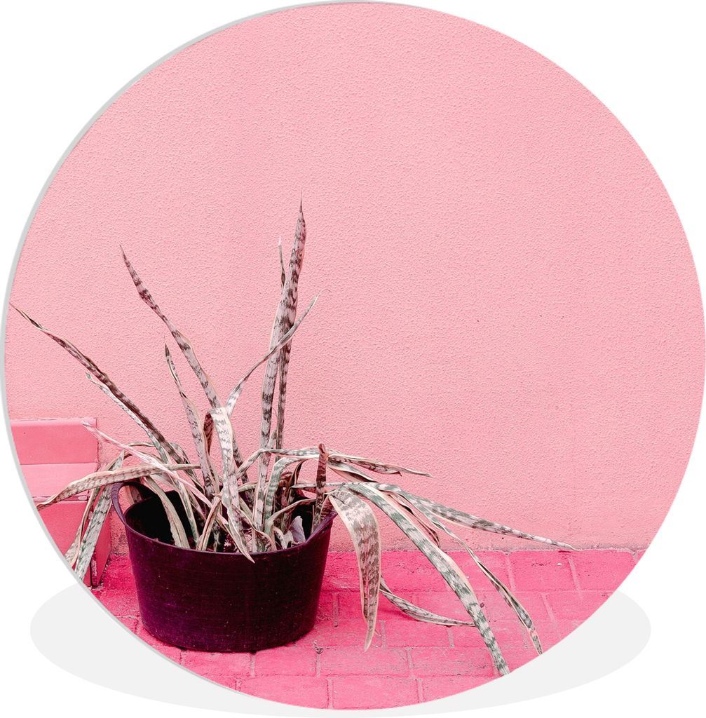 MuchoWow Rundes Wandbild - Runde Bilder Sommer - Rosa - Pflanzen Ø 90 cm Kreis Wanddekoration Kunststoff - Wandkreis - Wandschmuck - Wand-Kreis ...