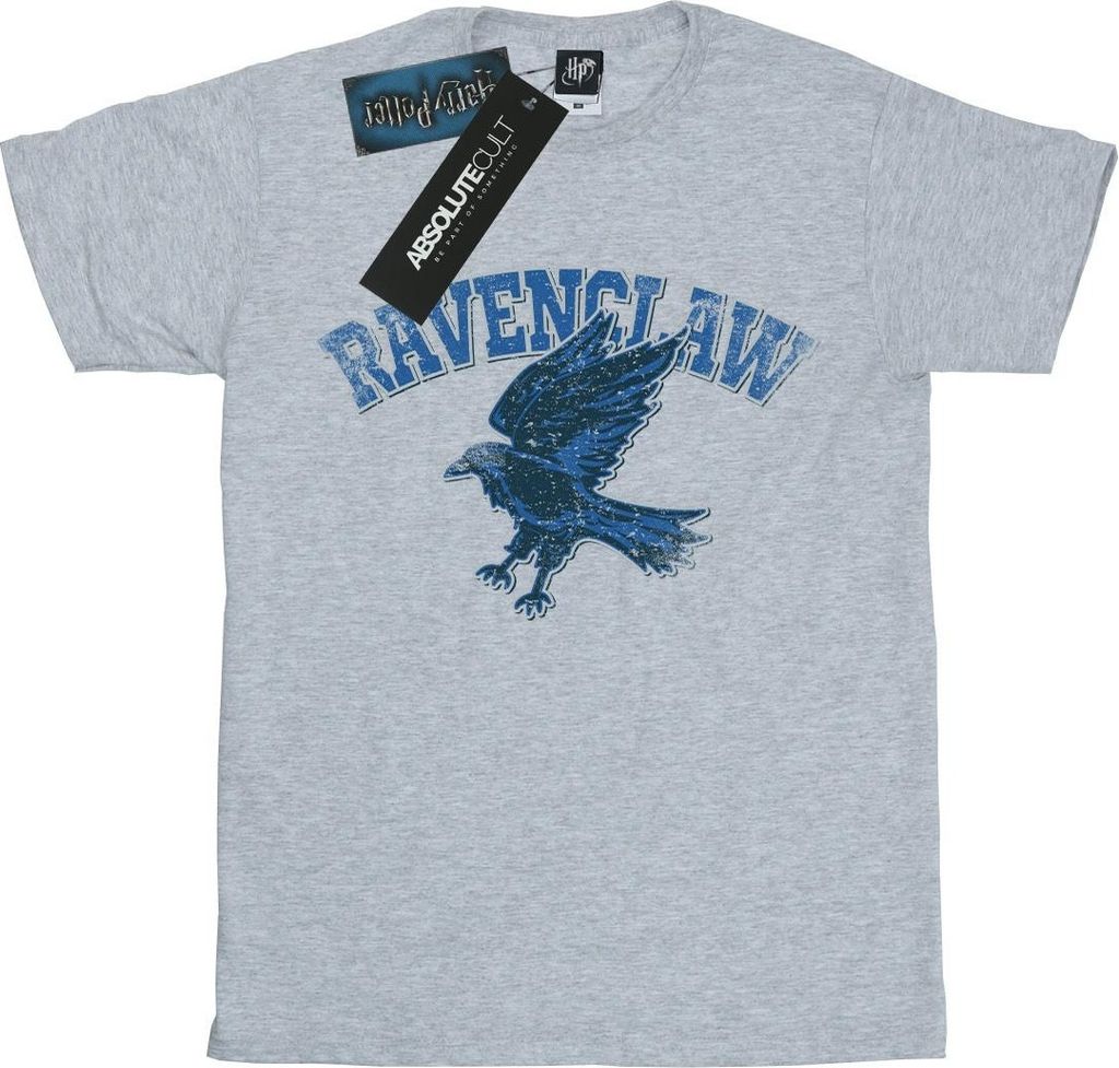 Harry Potter - T-Shirt für Jungen BI1409 (128) (Grau)