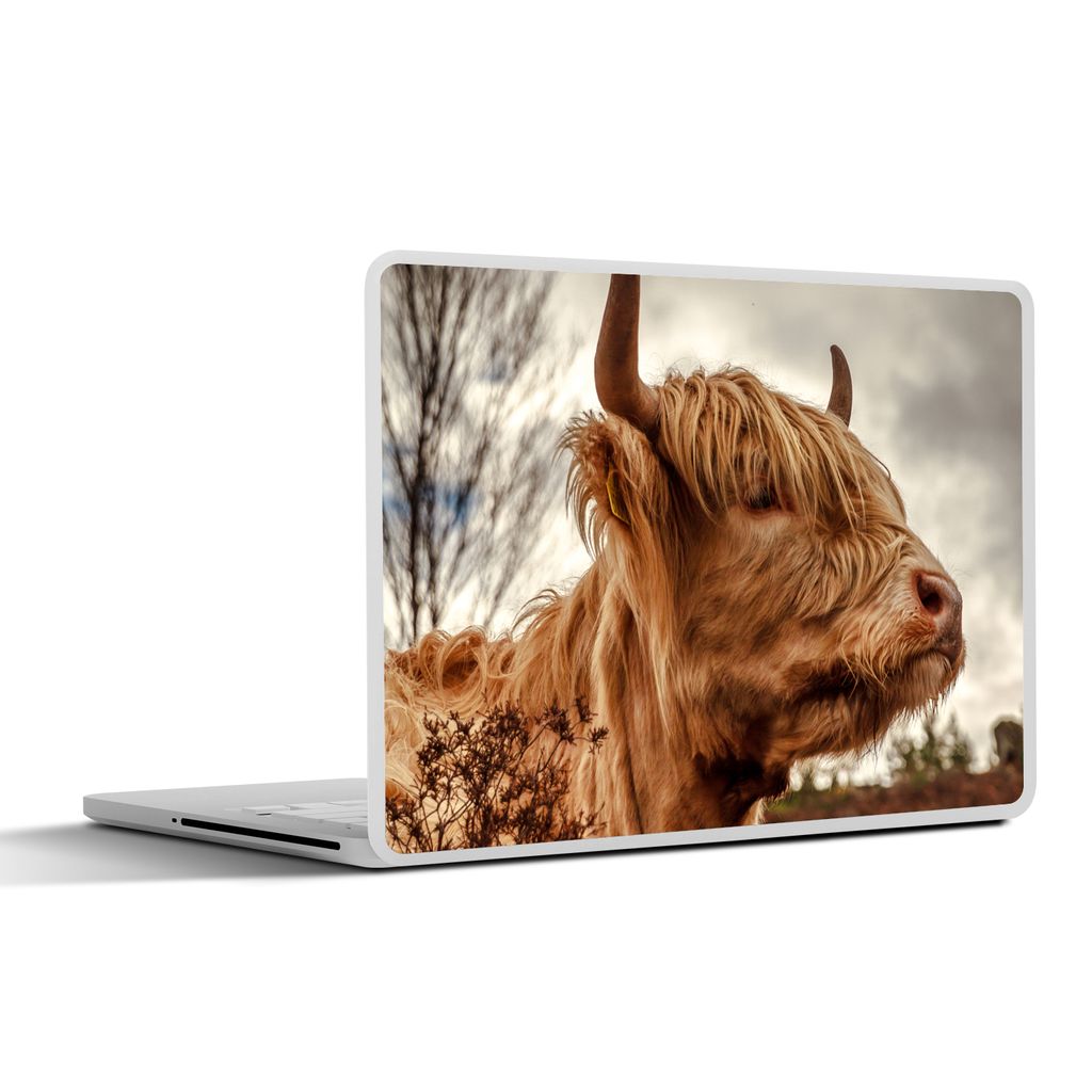MuchoWow Laptop Aufkleber Sticker Cover Scottish Highlander - Strauch - Heidekraut 30x22 cm - Laptop-Sticker