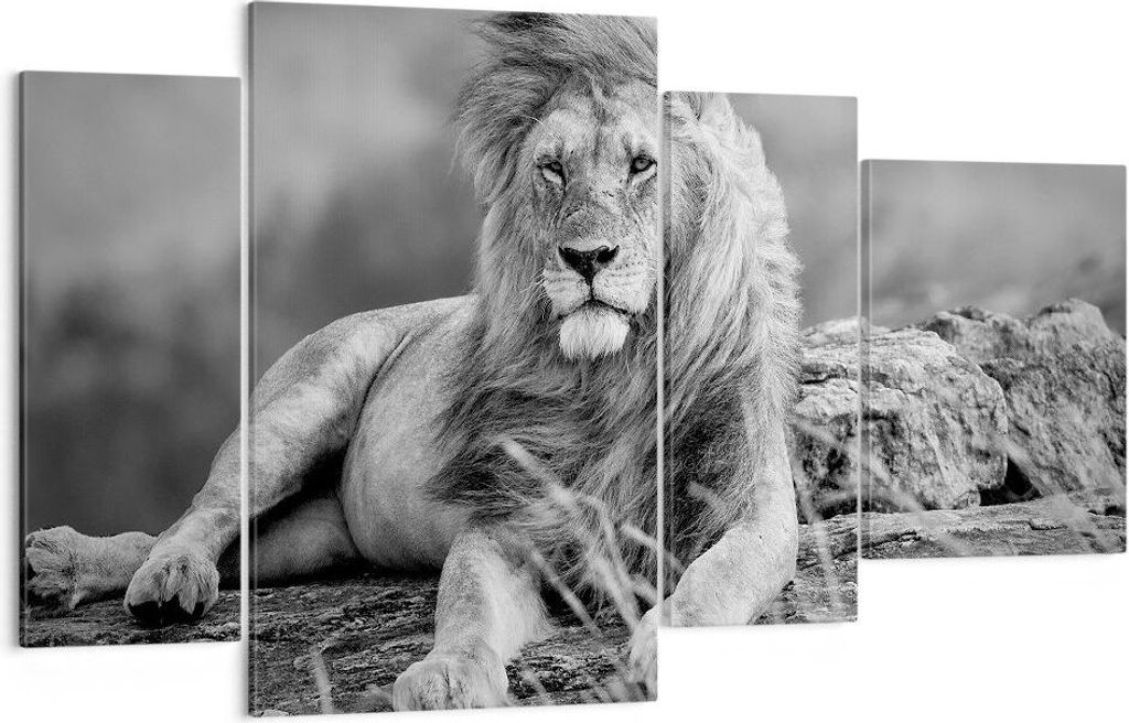 Bild auf Leinwand - Leinwandbild - Löwe Tier Natur - 120x70cm - Wand Bild - Wanddeko - Wandbilder - Leinwanddruck - Bilder - Kunstdruck - Wanddeko...