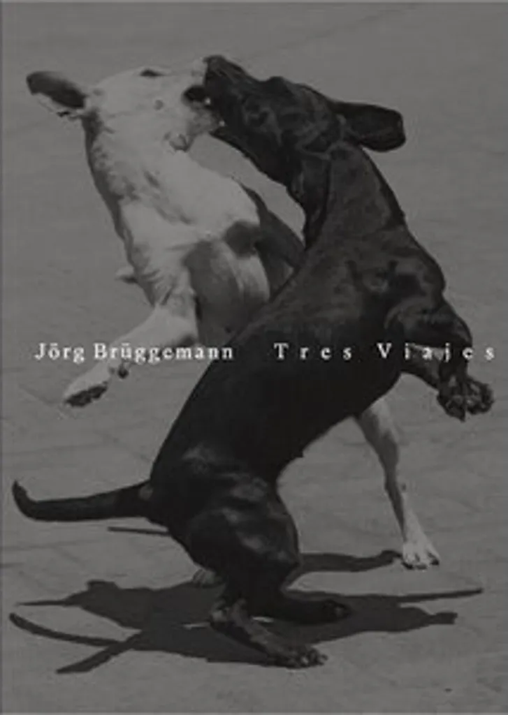 Livre Photo Tres Viajes par Jörg Brüggemann Album de Collection Noir