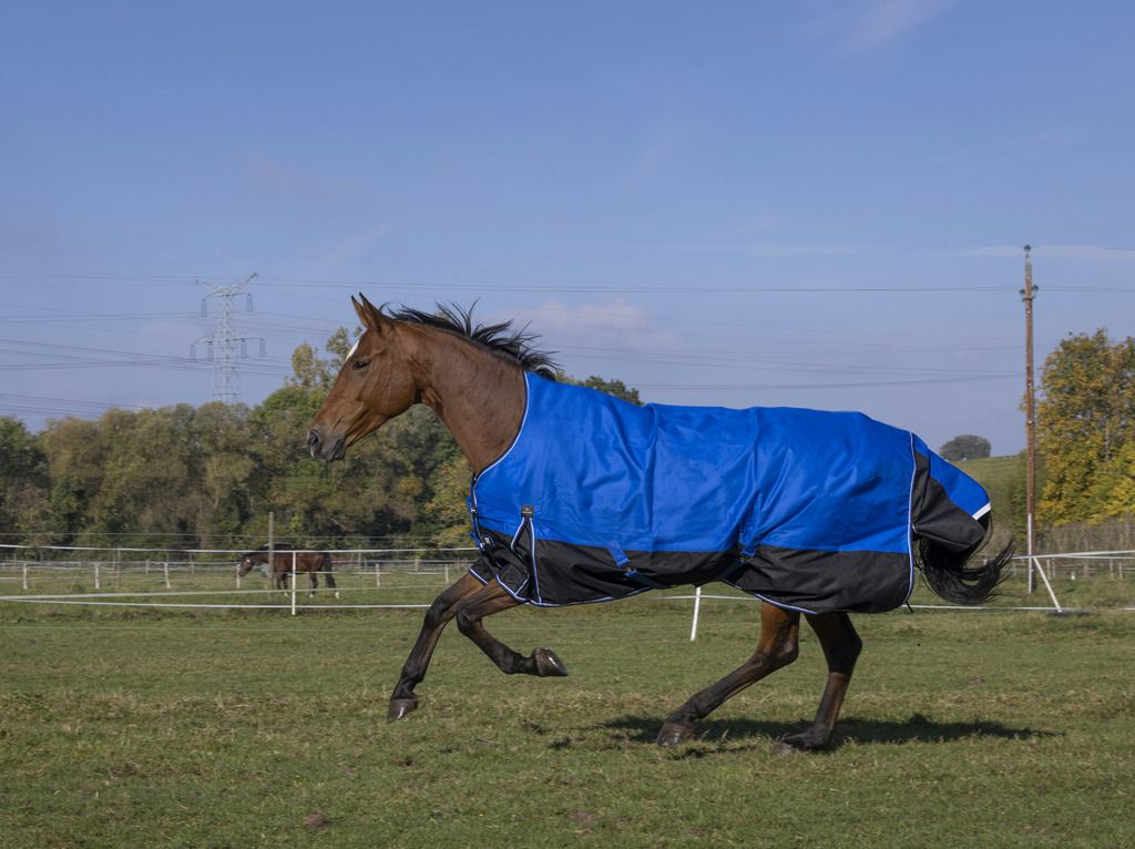 EQUITHÈME TYREX 1200D, Aisance High Neck Decke, Blau-Schwarz, 150 gr./145 cm