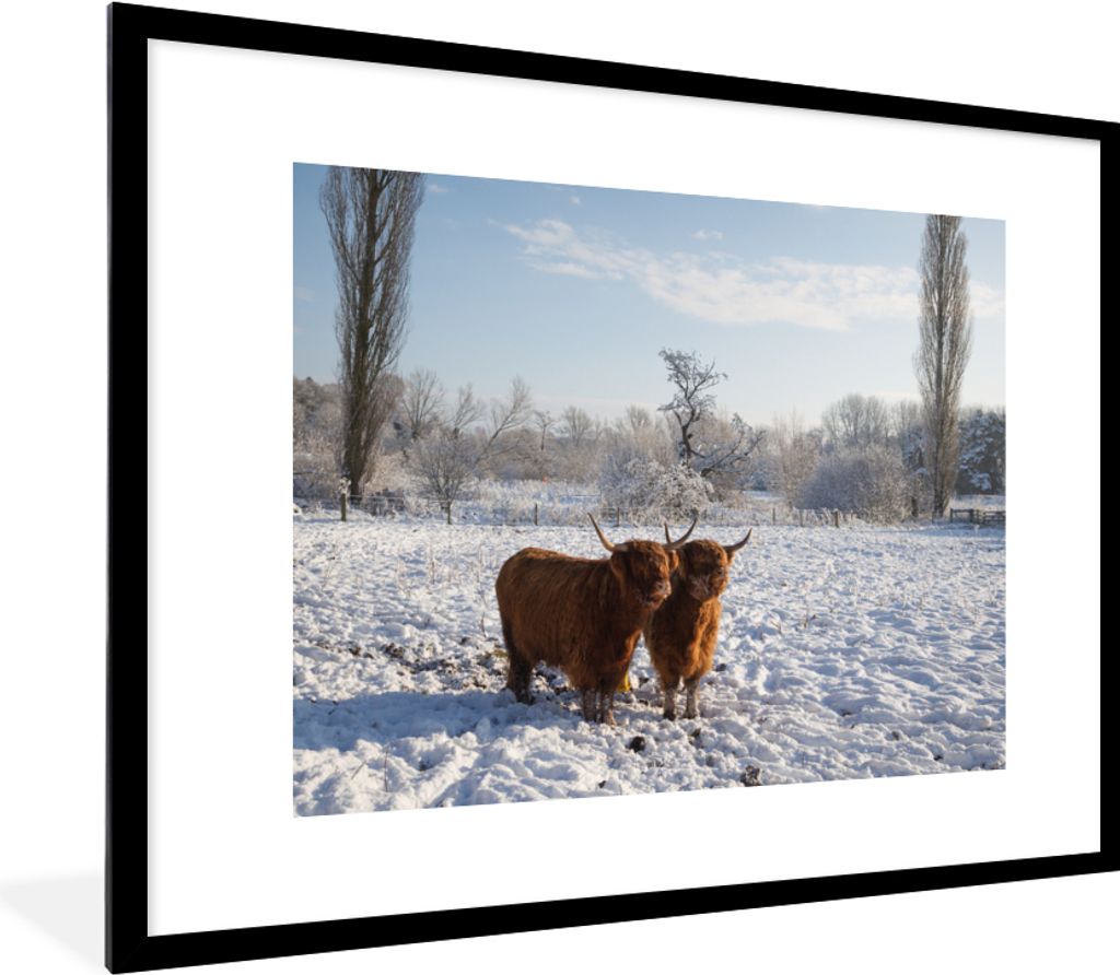 MuchoWow Gerahmtes Poster Schottische Highlander - Licht - Schnee 80x60 cm - Poster mit Schwarzem Bilderrahmen Wandposter Rahmen Foto Bilder - Sc...