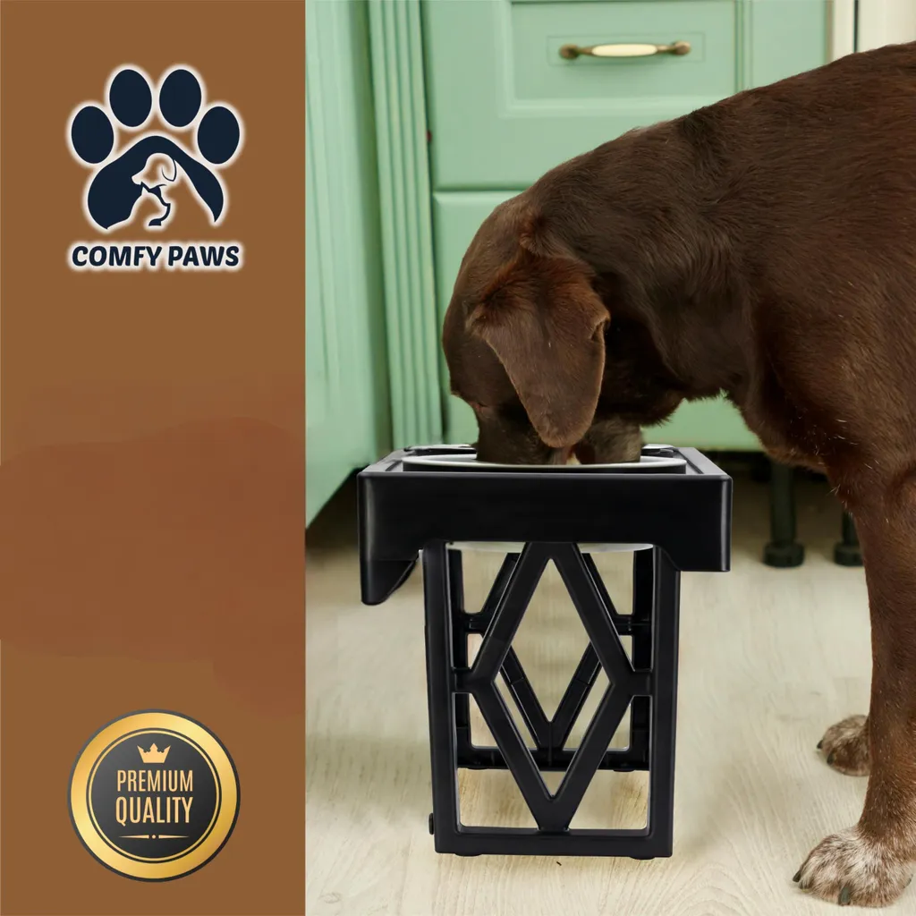 Set de gamelles pour chien ajustable idéal pour confort et digestion