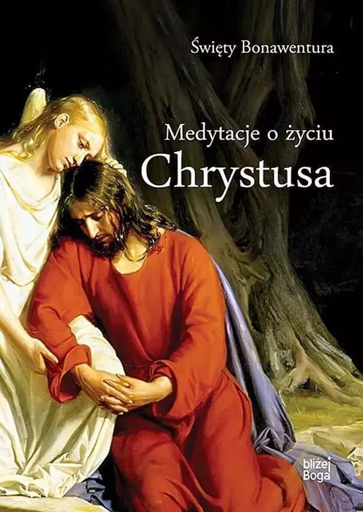 ISBN 9788380434691, Polnisch, Hardcover, 336 Seiten