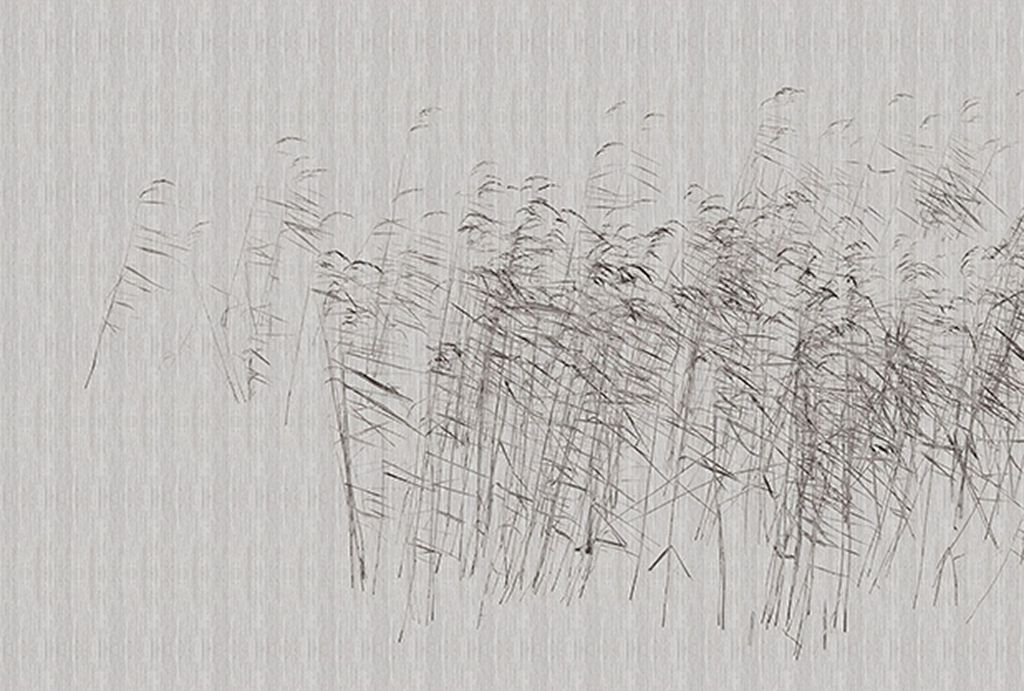Tadessi Fototapete | Natur | 4.00 m x 2.70 m | Grau | | Wandbild | Digitaldruck