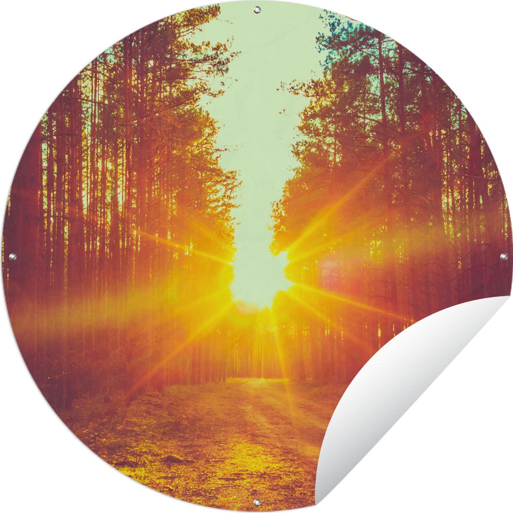 MuchoWow Gartenposter Outdoor-Poster Rund Sonnenuntergang - Bäume - Wald - Natur Ø 150 cm Gartendeko Rundes Poster draußen