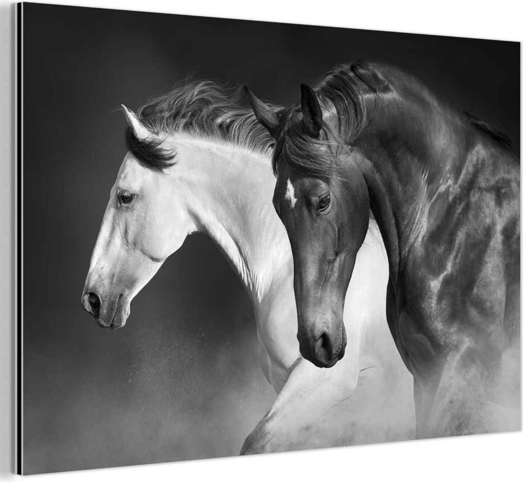 MuchoWow Wanddekoration Metall Metallbild Wandkunst 150x100 cm Pferde - Tiere - Schwarz - Weiß - Porträt MuchoWow Aluminium Gemälde - Alu Dibond...