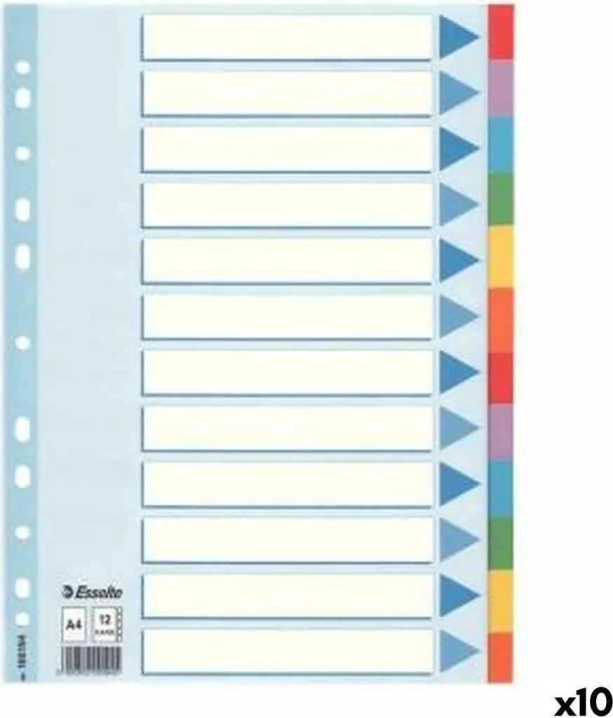 Intercalaires Esselte Multicolores en Carte Lustrée Format A4 - 10 Touches