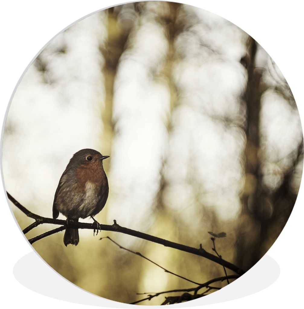 MuchoWow Rundes Wandbild - Runde Bilder Natur - Rotkehlchen - Zweig Ø 90 cm Kreis Wanddekoration Kunststoff - Wandkreis - Wandschmuck - Wand-Kre...