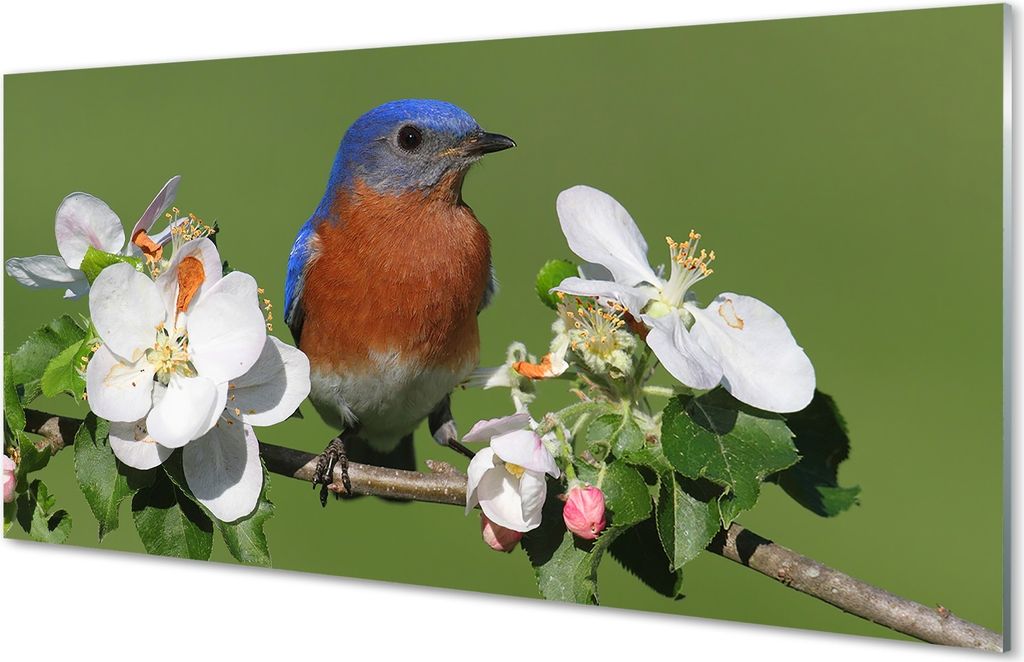 Glasbilder 120x60 Wandkunst Blumen bunter Papagei