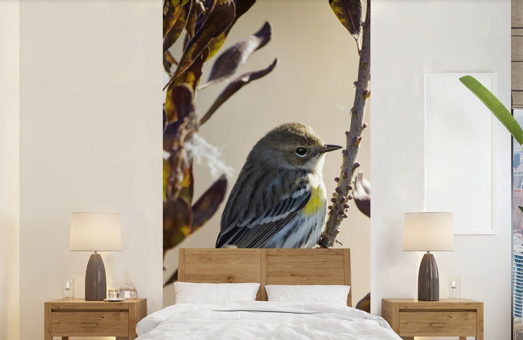 MuchoWow Fototapete für Wohnzimmer oder Schlafzimmer Wandtapete Vinyl Motivtapete Vogel zwischen einem Zweig mit Blättern - 120x240 cm - Hinter...