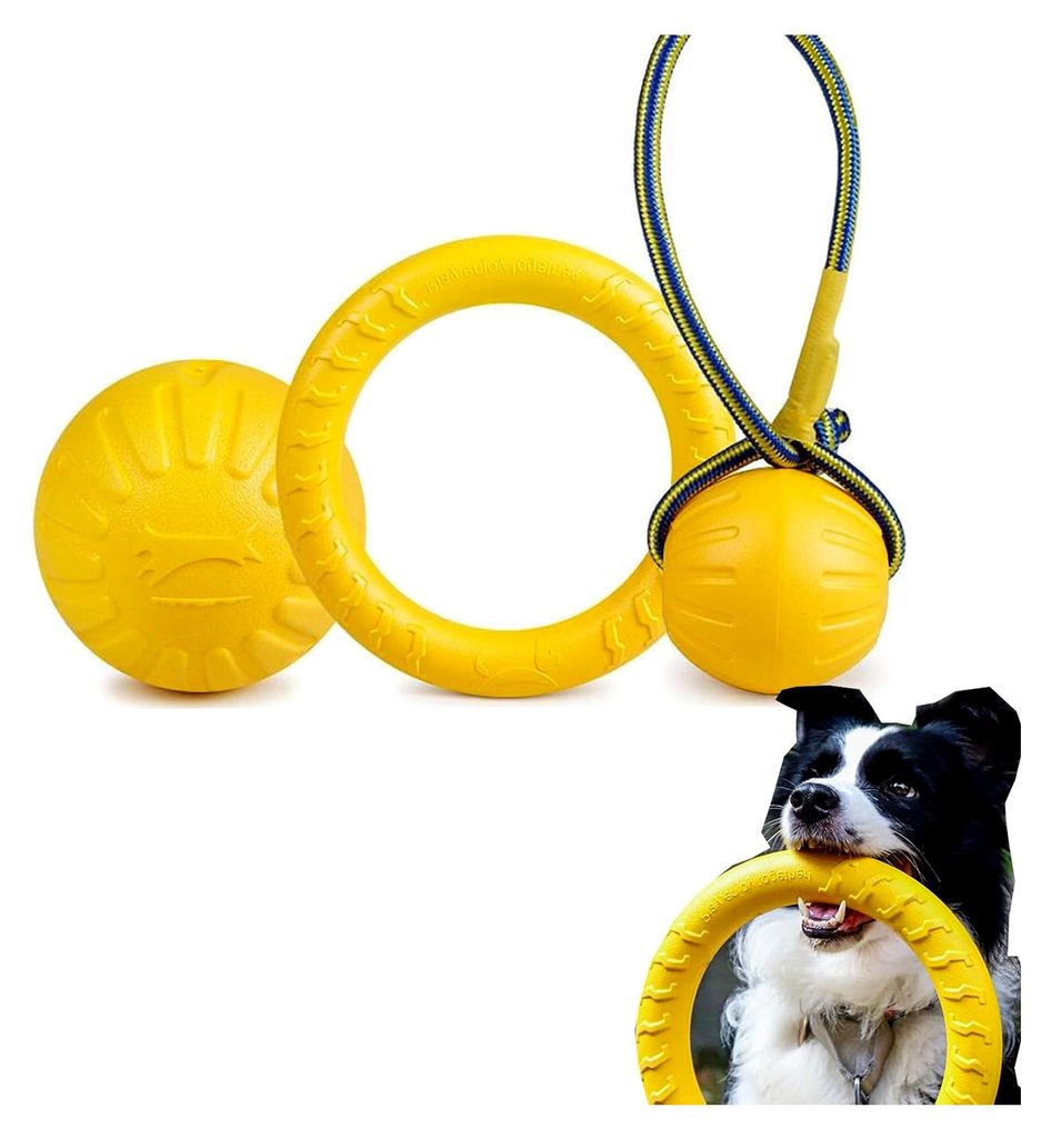 Jagdbälle für Hunde, Hundespielzeug, robuster und vielseitiger Ball, schwimmfähig auf Wasseroberflächen, Ball mit Seil, interaktiver Zugring f...