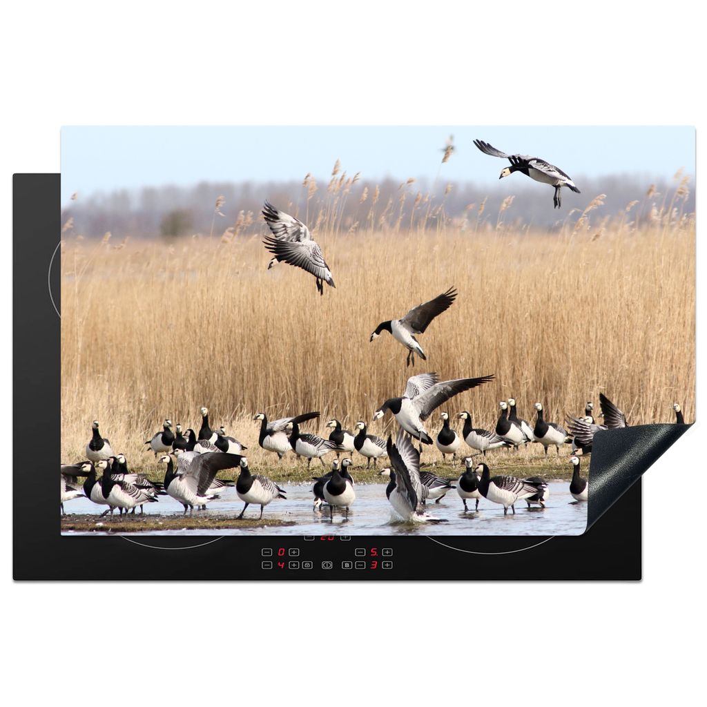 KitchenYeah Herdabdeckplatte Gans - Schilf - Wasser , 81x52cm, Küche Deko, Glaskeramikkochfeld Herdabdeckung, Abdeckplatte fùr Kochfeld