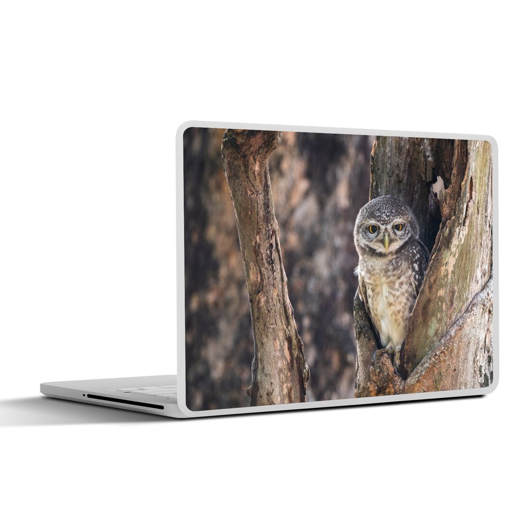 MuchoWow Laptop Aufkleber Sticker Cover Eule - Baum - Wald 32.5x23.5 cm - Sticker für Laptop - Selbstklebend