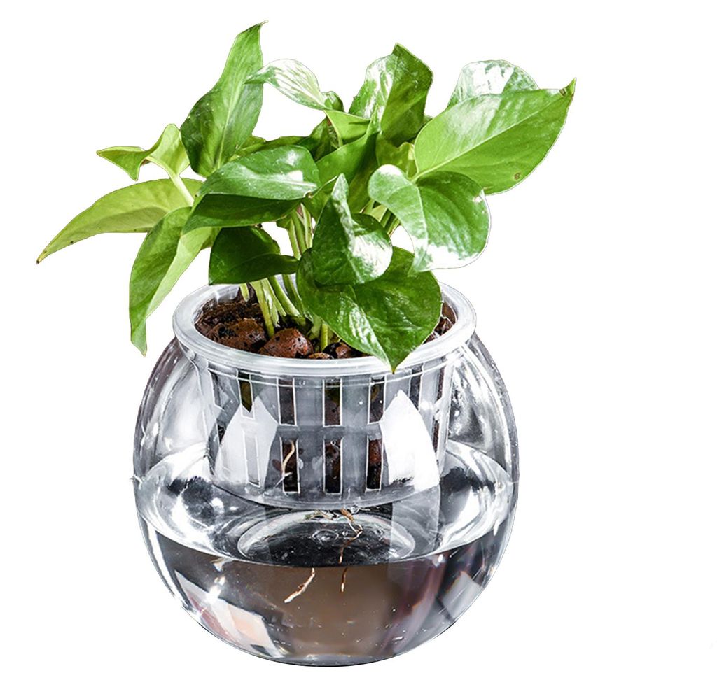 Aquaponisches Betta-Fischbecken, transparenter, bruchsicherer Pflanzkasten aus Kunststoff, Ökosystem-Aquarium, Desktop-Aquaponiksystem für Betta-...