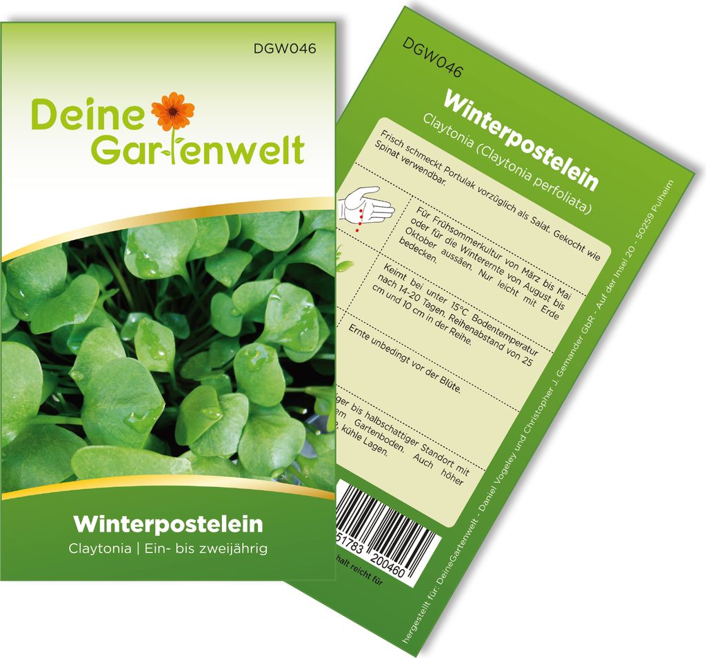 Winterpostelein Winterportulak Samen - Claytonia perfoliata Produktbild 