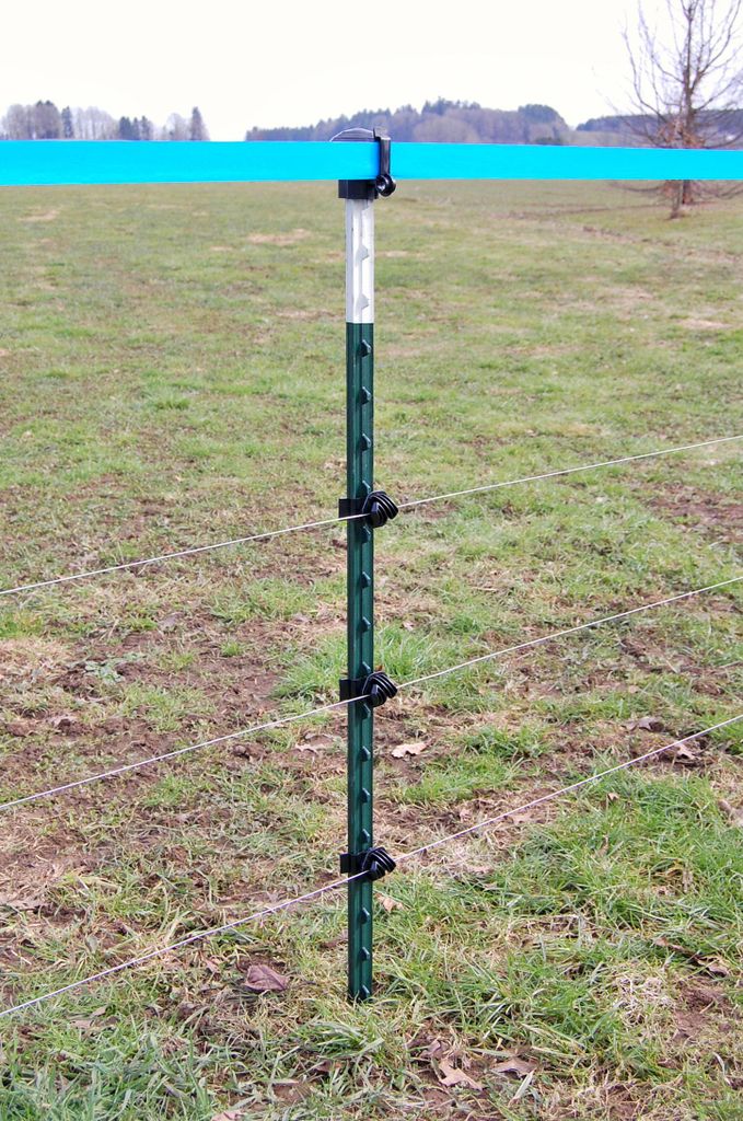 T-Pfahl, 240cm, grün lackiert - 5 Stück