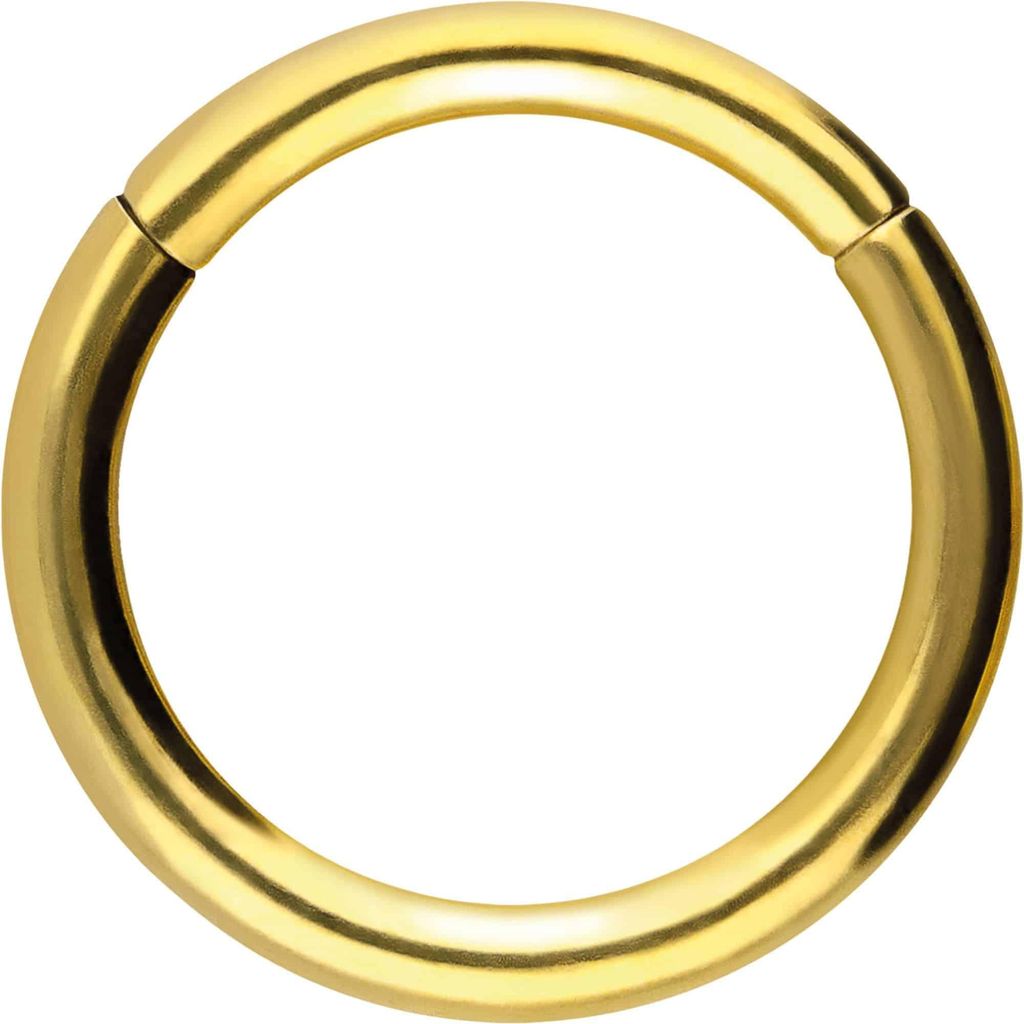 Ohrpiercing, Nasenpiercing, Septum Piercing Chirurgenstahl Segmentring Clicker Gold Innendurchmesser: 12mm + Stabstärke: 2mm