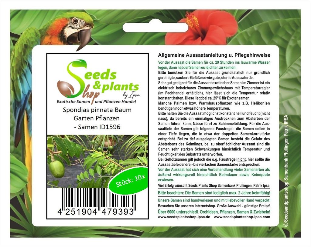 10x Spondias pinnata Schweinepflaume genannt Baum Garten Pflanzen - Samen ID1596