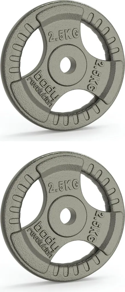 Disques de musculation en fonte chromée 2.5 kg pour barre de sport