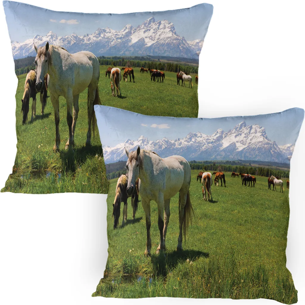 ABAKUHAUS Parcs Nationaux Lot de 2 Housses de Coussin Montagne 80x80 cm