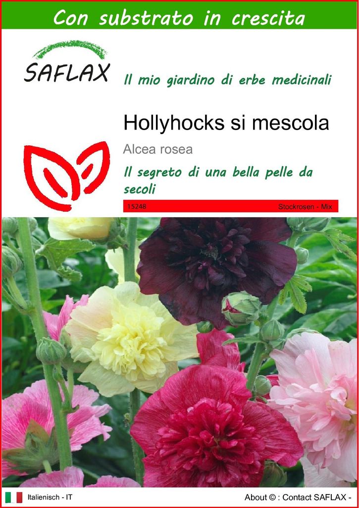 SAFLAX  - Hollyhocks si mescola - 100 semi - Con substrato Immagine del prodotto 