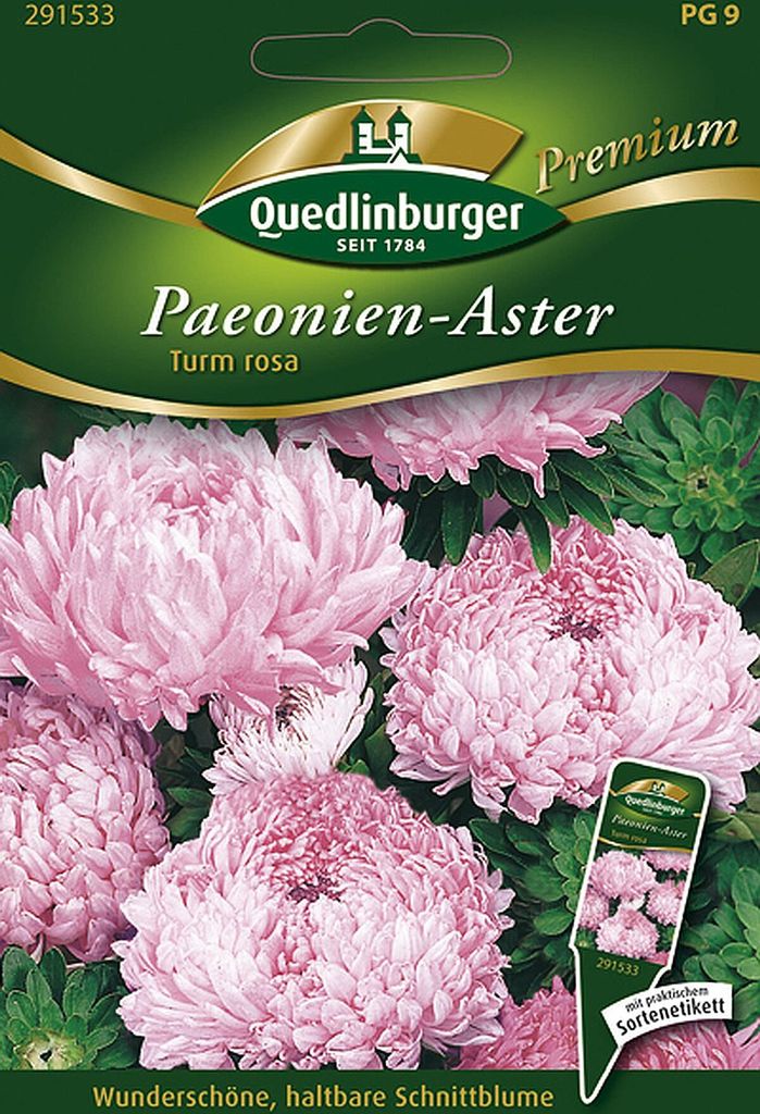 Quedlinburger Paeonien-Aster Turm rosa - Premium Blumensamen