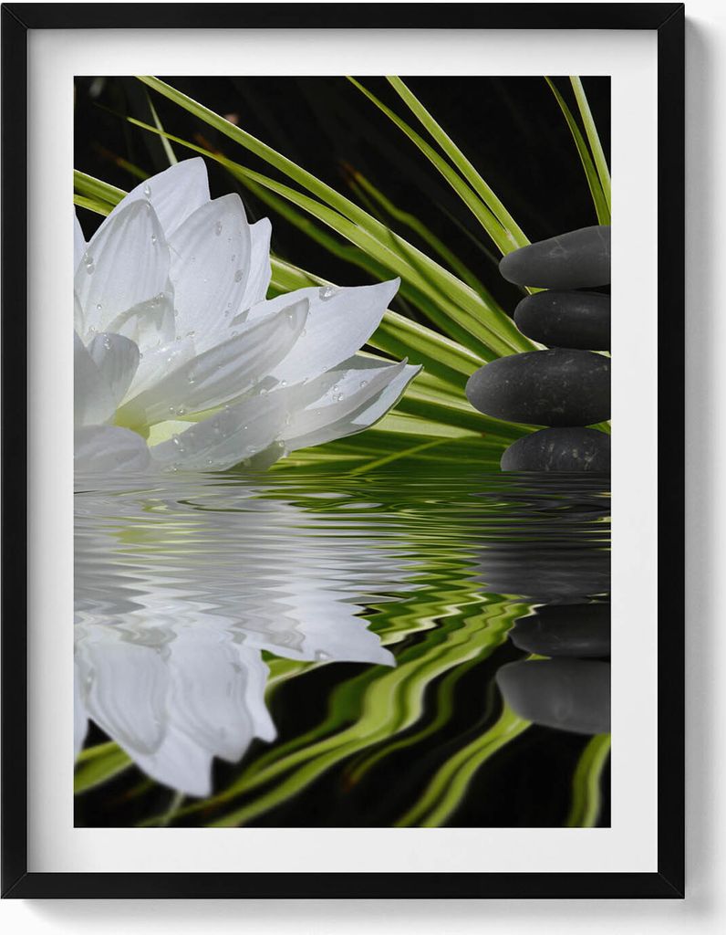 Seerose und Blätter– Wandbild mit Rahmen – Gerahmtes Bild – Wanddekoration – 60x80 cm – Schwarz Rahmen