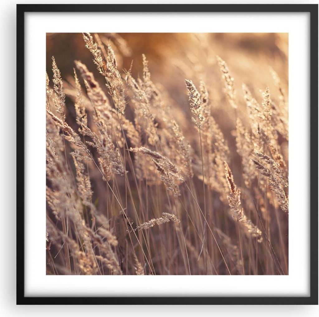 Gerahmtes Poster - Schwarzer Rahmen - Boho Ähren Feld - 50x50 cm - Wand Bild - Wanddeko - Wandbilder - Kunstposter - Wandposter - Bilderrahmen - B...