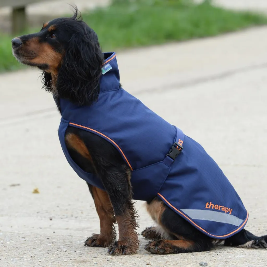 Soulager l'Arthrose Canine avec la Couverture Bucas Therapy Dog Rug 0g