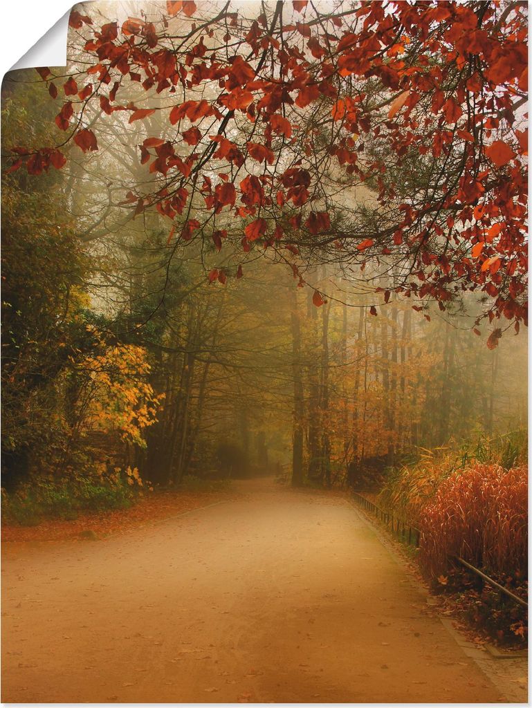 ARTland Poster Herbst im Park Größe: 60x80 cm
