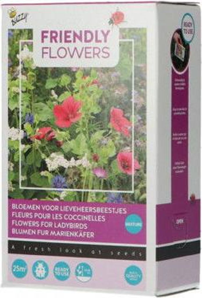 Wachsen Geschenke Samen streuen Box freundlich Blume Marienkäfer 100 Gramm Buzzy