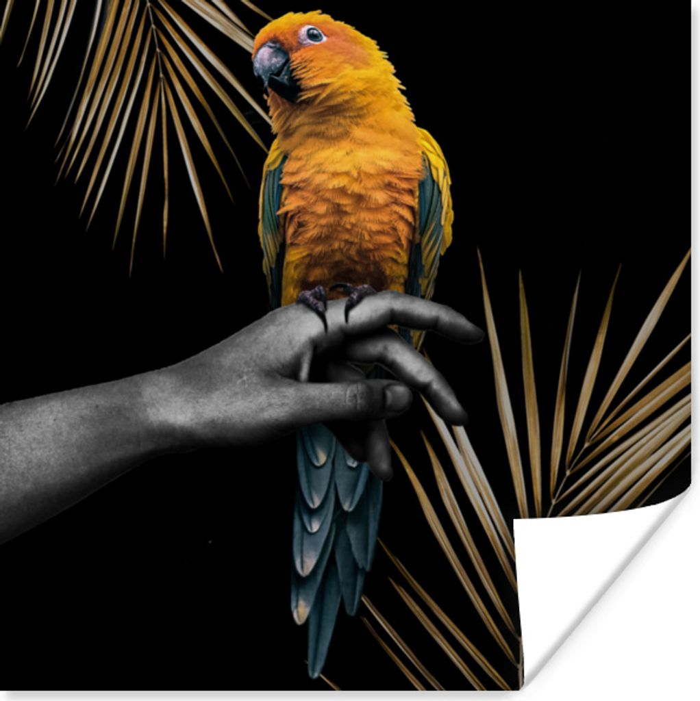 MuchoWow Poster Vogel - Papagei - Hand - Farn 75x75 cm - Wand Dekoration