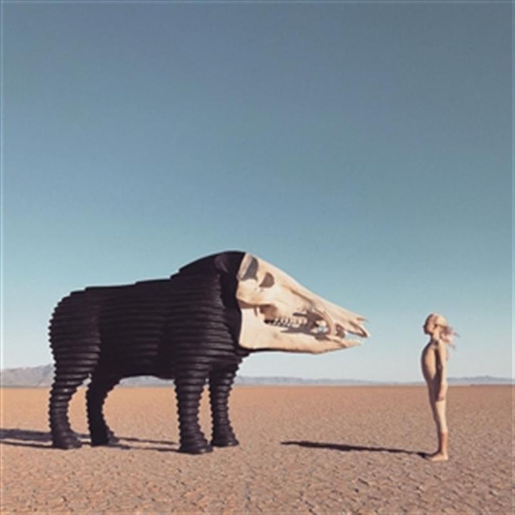 Man Man: Dream Hunting In The Valley Of The In-between -loser- - 375 Media - (Vinyl / Independent)
