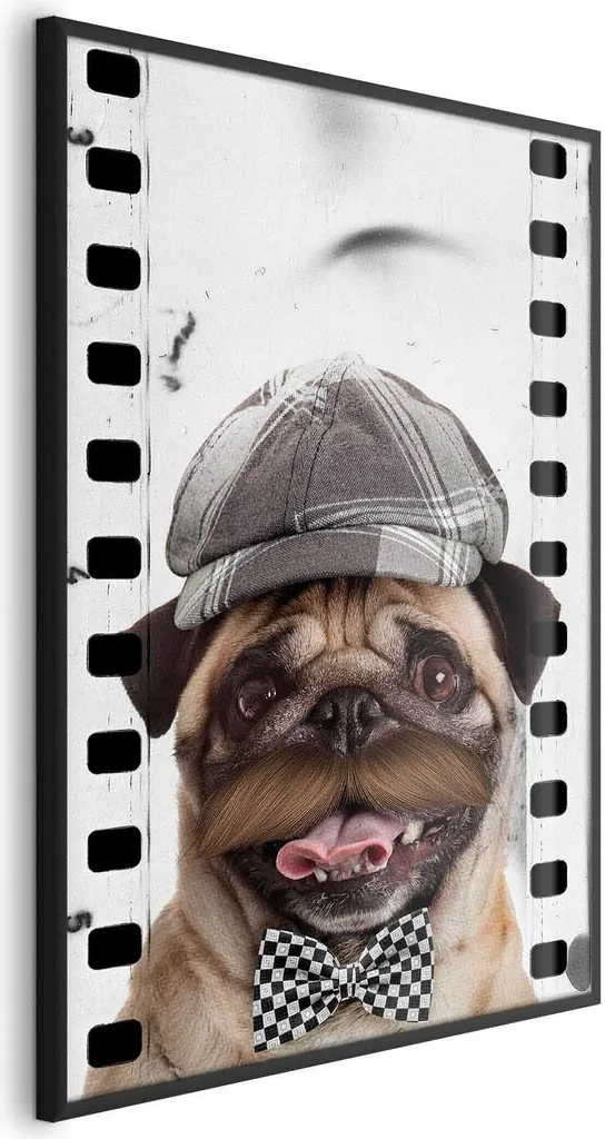 Poster Mops in Cap 40x60 Cornice Nera Moderna - Arredo Originale
