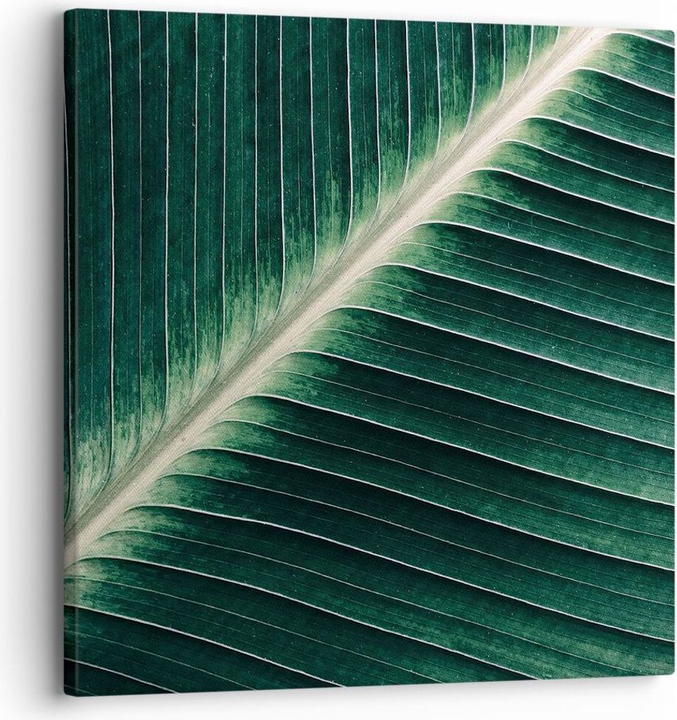 Bild auf Leinwand - Leinwandbild - Einteilig - Grün Blatt Tropisch - 30x30cm - Wand Bild - Wanddeko - Wandbilder - Leinwanddruck - Bilder - Wandde...