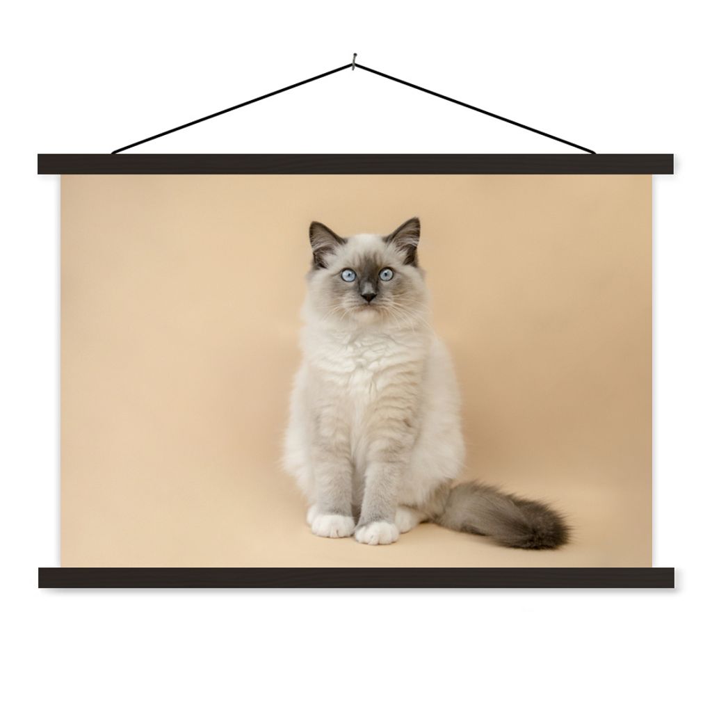 MuchoWow Textilposter Katze - Siamese - Porträt - Mädchen - Kinder - Jungen - Kinder 90x60 cm mit schwarzem Rahmen - Aufhängungssatz