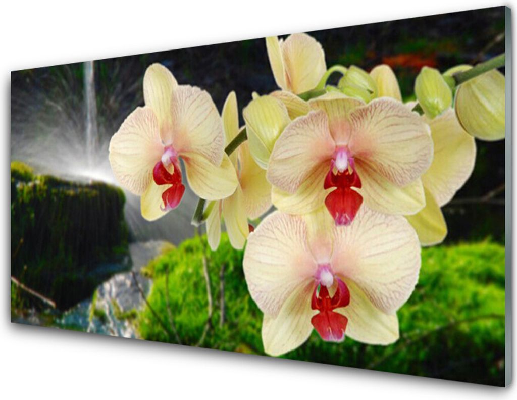 Acrylglasbilder 100x50 Wandbild Druck Baume Pflanzen