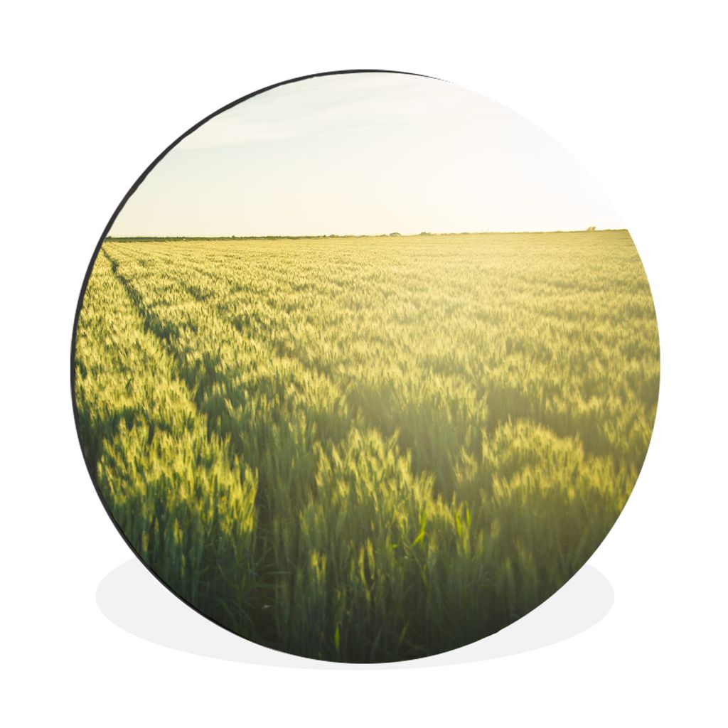 MuchoWow Aluminium Wandkreis Landwirtschaft in den frühen Morgenstunden Ø 90 cm Wanddeko Modern Wohnzimmer - Mauerkreis - Wandbilder - Runde Bi...